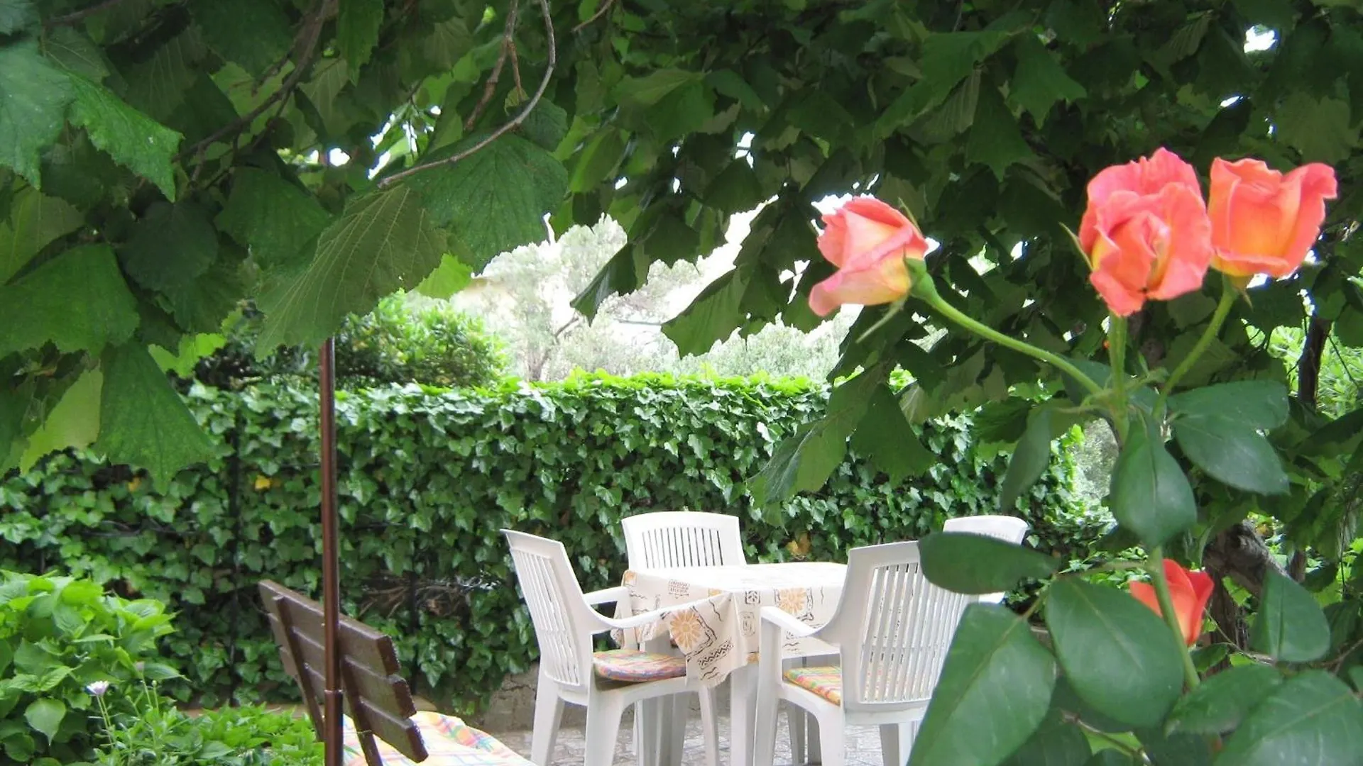 Daire Apartmani Puljar Matic Rab Town